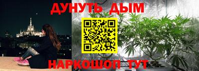 молекула духа Северобайкальск