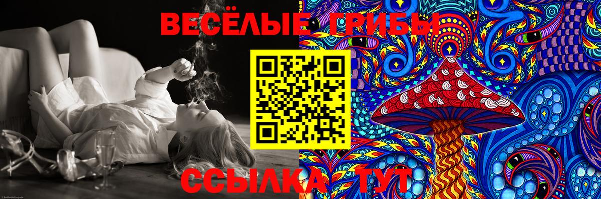 Псилоцибиновые грибы Psilocybe Архангельск