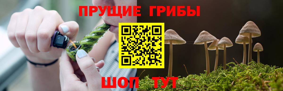 Архангельск  Галлюциногенные грибы Psilocybine cubensis  Вход с VPN 